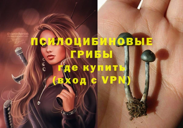 скорость Каменногорск