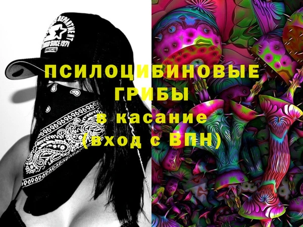скорость Каменногорск
