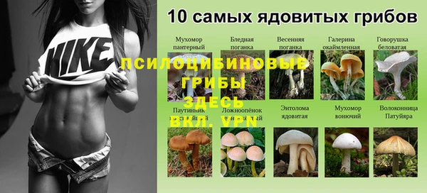 скорость Каменногорск