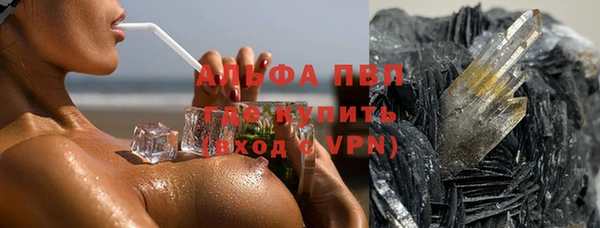 скорость Каменногорск
