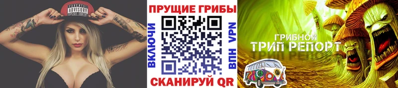Галлюциногенные грибы MAGIC MUSHROOMS  Купить где  Верхний Уфалей 